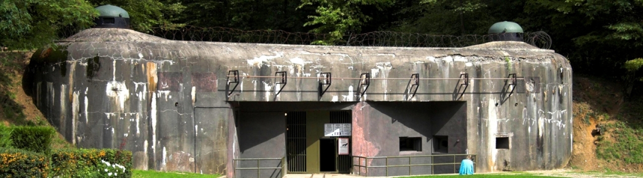 ... Proxybunker